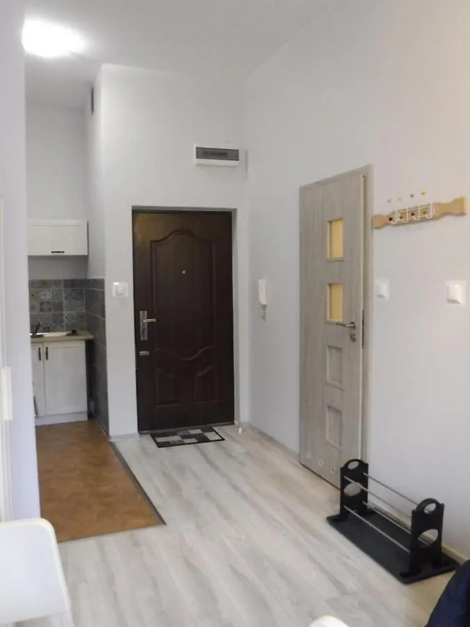 شقة Ayla Flat كراكوفيا